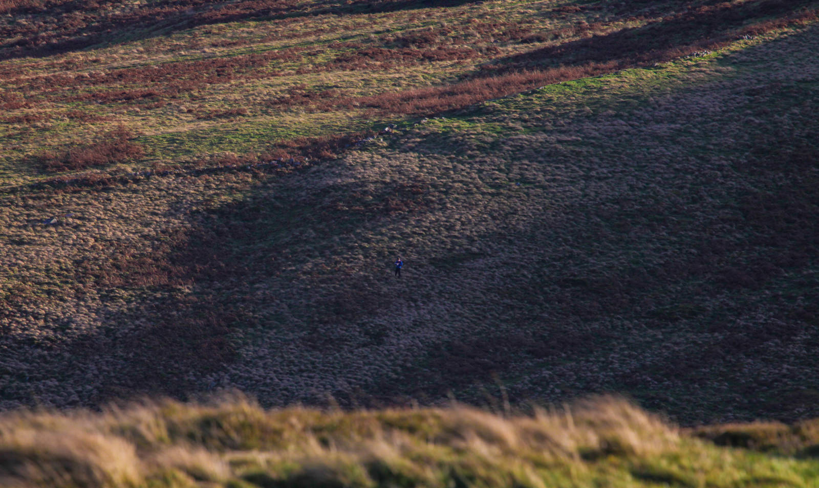 Tobias making his way up Yeavering Bell ©Dave MacFarlane Digital Media