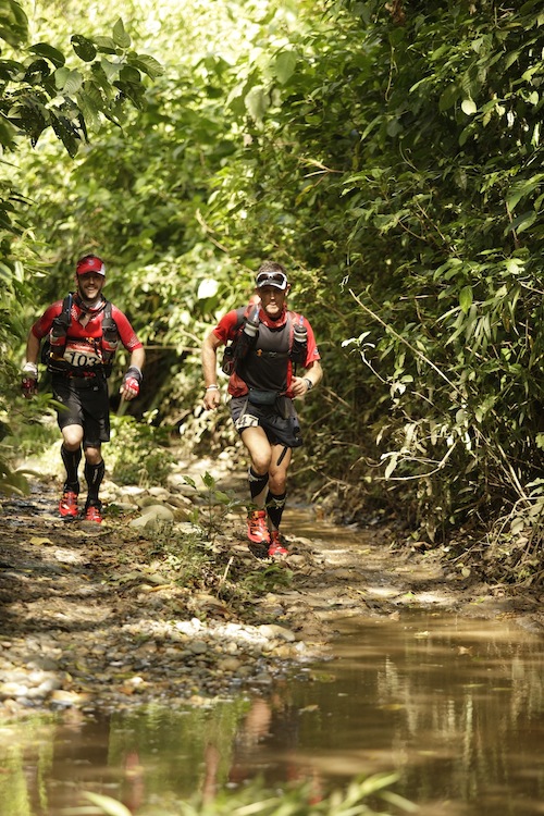 Jungle Races